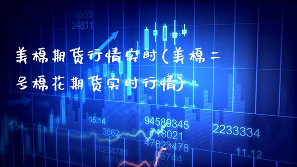 美棉期货行情实时(美棉二号棉花期货实时行情)_https://www.gzbbqc.com_纳指期货_第1张