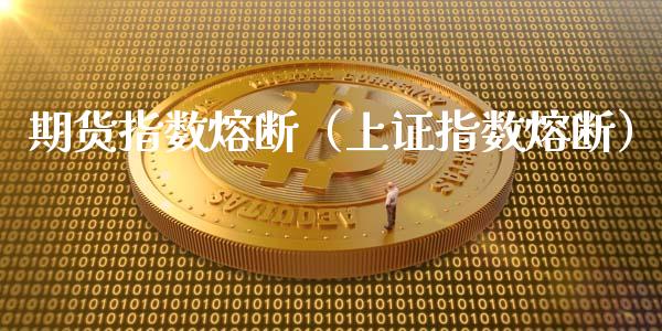 期货指数熔断（上证指数熔断）_https://www.gzbbqc.com_纳指期货_第1张