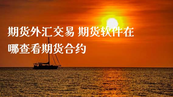 期货外汇交易 期货软件在哪查看期货合约_https://www.gnhpgy.com_道指期货_第1张