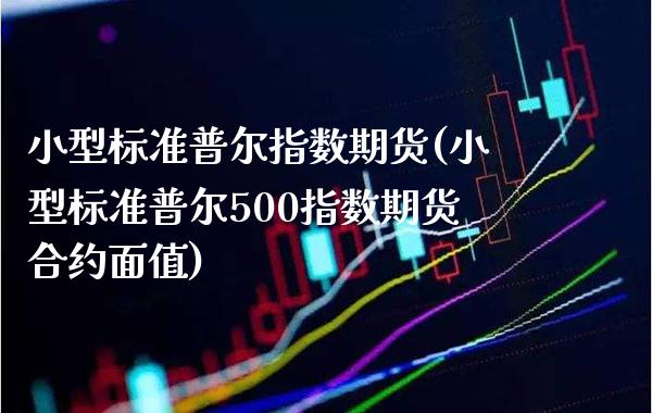 小型标准普尔指数期货(小型标准普尔500指数期货合约面值)_https://www.gzbbqc.com_道指期货_第1张