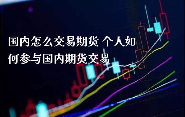 国内怎么交易期货 个人如何参与国内期货交易_https://www.gzbbqc.com_恒指期货_第1张