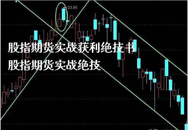 股指期货实战获利绝技书 股指期货实战绝技_https://www.gzbbqc.com_原油期货_第1张
