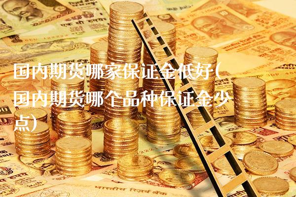 国内期货哪家保证金低好(国内期货哪个品种保证金少点)_https://www.gzbbqc.com_道指期货_第1张