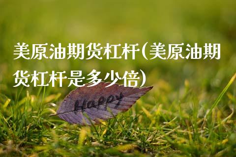 美原油期货杠杆(美原油期货杠杆是多少倍)_股指期货_第1张_八八期货网 美原油期货杠杆(美原油期货杠杆是多少倍)_https://www.gzbbqc.com_股指期货_第1张