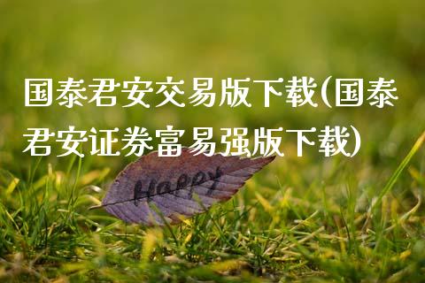 国泰君安交易版下载(国泰君安证券富易强版下载)_https://www.gzbbqc.com_未分类_第1张