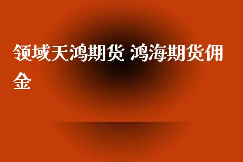 领域天鸿期货 鸿海期货佣金_https://www.gnhpgy.com_黄金期货_第1张