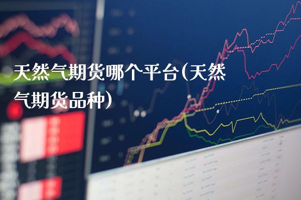 天然气期货哪个平台(天然气期货品种)_https://www.gzbbqc.com_未分类_第1张