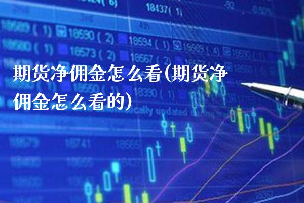 期货净佣金怎么看(期货净佣金怎么看的)_https://www.gzbbqc.com_原油期货_第1张