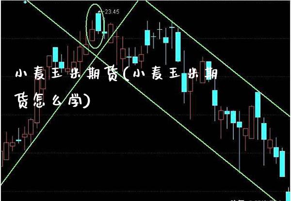 小麦玉米期货(小麦玉米期货怎么学)_https://www.gzbbqc.com_德指期货_第1张