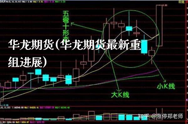 华龙期货(华龙期货最新重组进展)_https://www.gzbbqc.com_道指期货_第1张