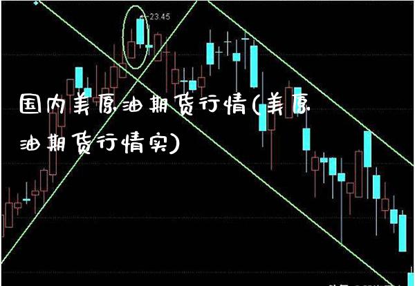 国内美原油期货行情(美原油期货行情实)_https://www.gzbbqc.com_原油期货_第1张