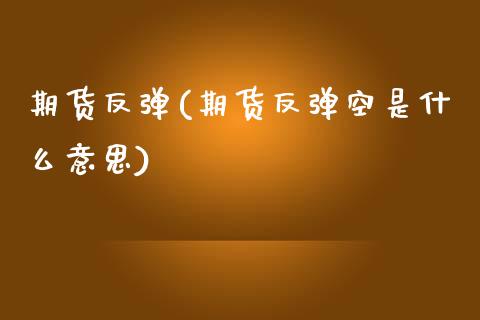 期货反弹(期货反弹空是什么意思)_https://www.gzbbqc.com_道指期货_第1张