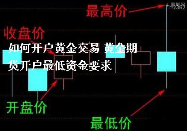 如何开户黄金交易 黄金期货开户最低资金要求_https://www.gnhpgy.com_黄金期货_第1张