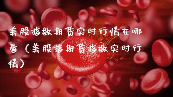 美股指数期货实时行情在哪看（美股指期货指数实时行情）_https://www.gzbbqc.com_恒指期货_第1张