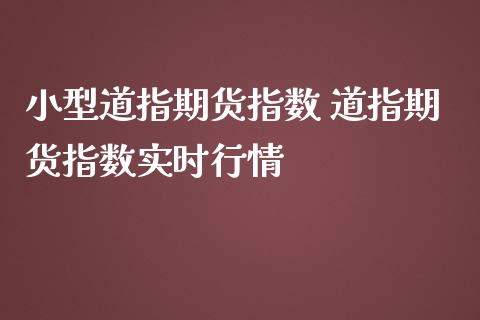 小型道指期货指数 道指期货指数实时行情_https://www.gzbbqc.com_道指期货_第1张