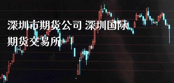 深圳市期货公司 深圳国际期货交易所_https://www.gzbbqc.com_道指期货_第1张