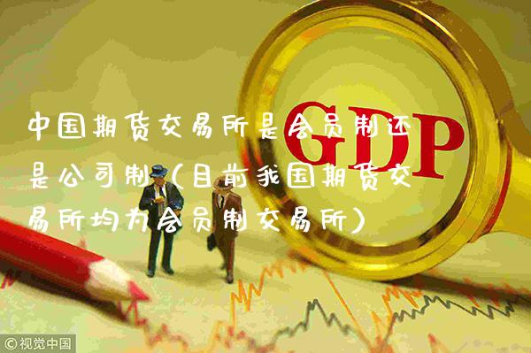 中国期货交易所是会员制还是公司制（目前我国期货交易所均为会员制交易所）_https://www.gzbbqc.com_原油期货_第1张