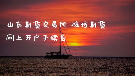 山东期货交易所 潍坊期货网上开户手续费_https://www.gnhpgy.com_黄金期货_第1张