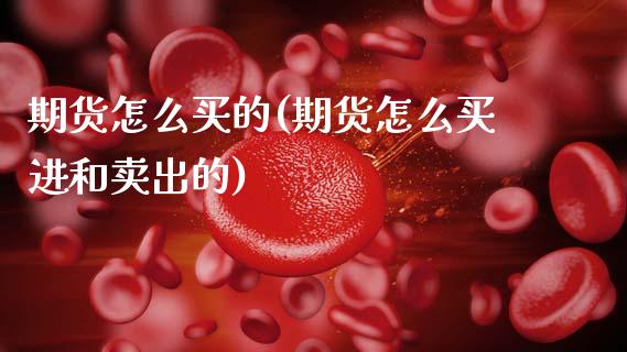 期货怎么买的(期货怎么买进和卖出的)_https://www.gzbbqc.com_期货知识_第1张