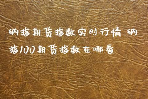 纳指期货指数实时行情 纳指100期货指数在哪看_https://www.gnhpgy.com_纳指期货_第1张
