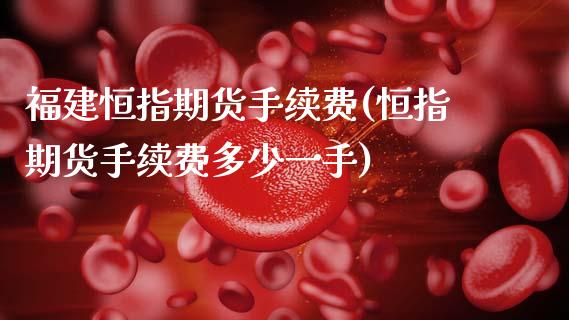 福建恒指期货手续费(恒指期货手续费多少一手)_https://www.gzbbqc.com_原油期货_第1张