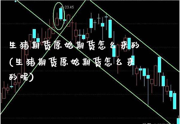 生猪期货原始期货怎么来的(生猪期货原始期货怎么来的呢)_https://www.gzbbqc.com_股指期货_第1张