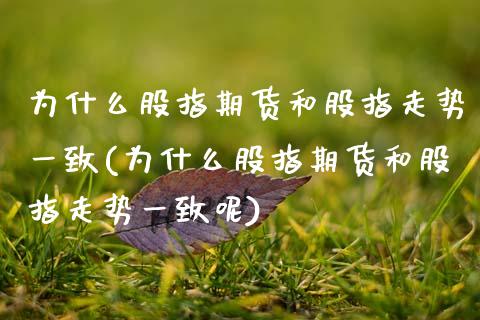 为什么股指期货和股指走势一致(为什么股指期货和股指走势一致呢)_https://www.gzbbqc.com_股指期货_第1张