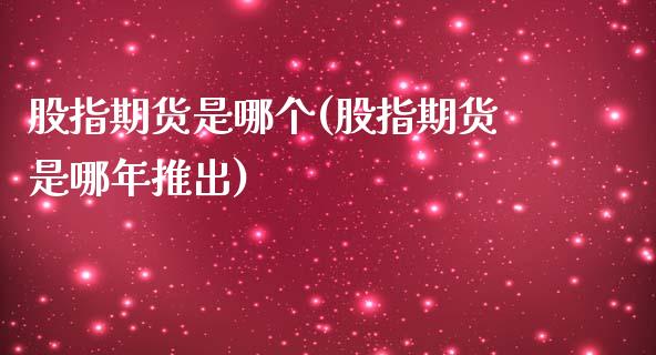 股指期货是哪个(股指期货是哪年推出)_https://www.gzbbqc.com_纳指期货_第1张