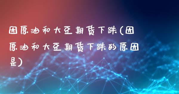 因原油和大豆期货下跌(因原油和大豆期货下跌的原因是)_https://www.gzbbqc.com_纳指期货_第1张