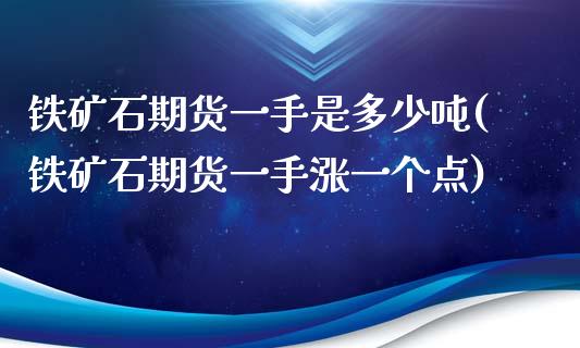 铁矿石期货一手是多少吨(铁矿石期货一手涨一个点)_https://www.gzbbqc.com_股指期货_第1张