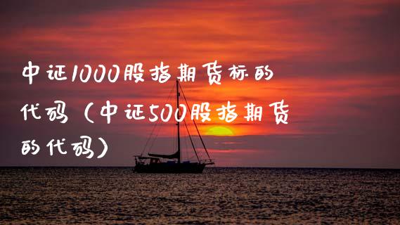 中证1000股指期货标的代码（中证500股指期货的代码）_https://www.gzbbqc.com_恒指期货_第1张