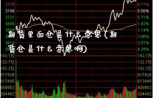 期货里面仓是什么意思(期货仓是什么意思啊)_https://www.gzbbqc.com_纳指期货_第1张