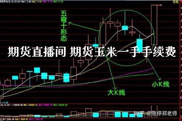 期货直播间 期货玉米一手手续费_https://www.gzbbqc.com_德指期货_第1张