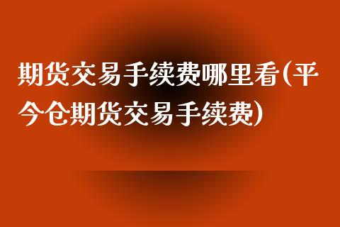 期货交易手续费哪里看(平今仓期货交易手续费)_https://www.gzbbqc.com_恒指期货_第1张