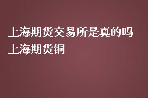上海期货交易所是真的吗 上海期货铜_https://www.gzbbqc.com_恒指期货_第1张