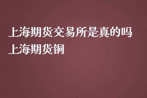 上海期货交易所是真的吗 上海期货铜_https://www.gnhpgy.com_恒指期货_第1张