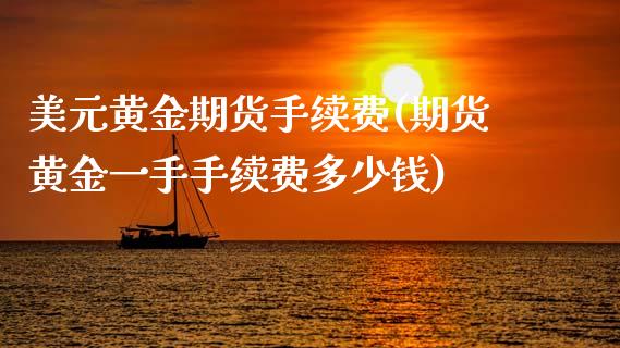 美元黄金期货手续费(期货黄金一手手续费多少钱)_https://www.gzbbqc.com_未分类_第1张