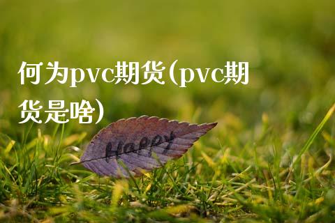 何为pvc期货(pvc期货是啥)_期货知识_第1张_八八期货网 何为pvc期货(pvc期货是啥)_https://www.gzbbqc.com_期货知识_第1张