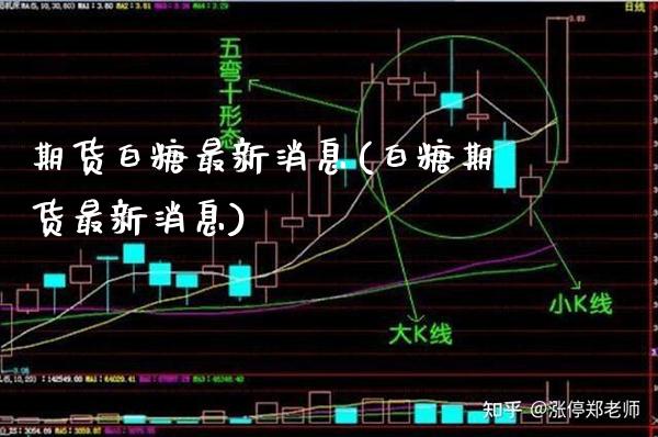 期货白糖最新消息(白糖期货最新消息)_https://www.gzbbqc.com_黄金期货_第1张