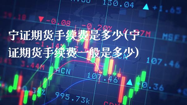 宁证期货手续费是多少(宁证期货手续费一般是多少)_https://www.gzbbqc.com_纳指期货_第1张