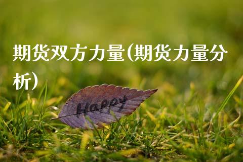 期货双方力量(期货力量分析)_https://www.gzbbqc.com_期货知识_第1张
