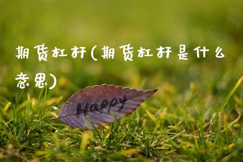 期货杠杆(期货杠杆是什么意思)_https://www.gzbbqc.com_恒指期货_第1张