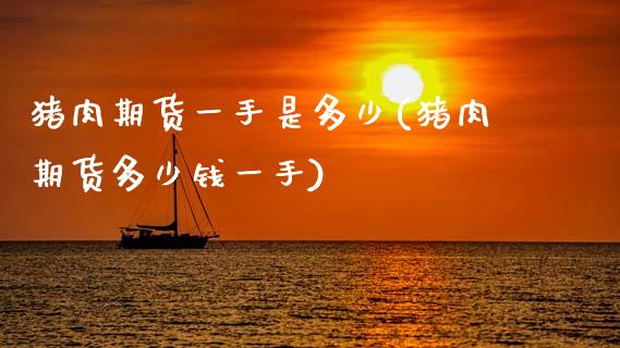 猪肉期货一手是多少(猪肉期货多少钱一手)_https://www.gzbbqc.com_德指期货_第1张