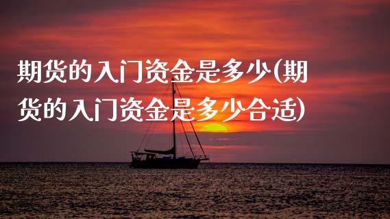 期货的入门资金是多少(期货的入门资金是多少合适)_https://www.gzbbqc.com_黄金期货_第1张