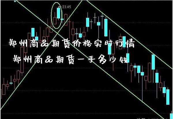 郑州商品期货价格实时行情 郑州商品期货一手多少钱_https://www.gnhpgy.com_黄金期货_第1张