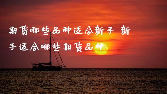 期货哪些品种适合新手 新手适合哪些期货品种_https://www.gzbbqc.com_期货知识_第1张