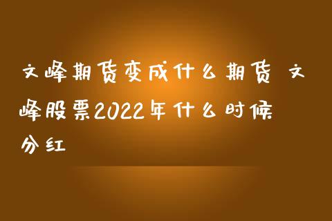 文峰期货变成什么期货 文峰股票2022年什么时候分红_https://www.gnhpgy.com_股指期货_第1张