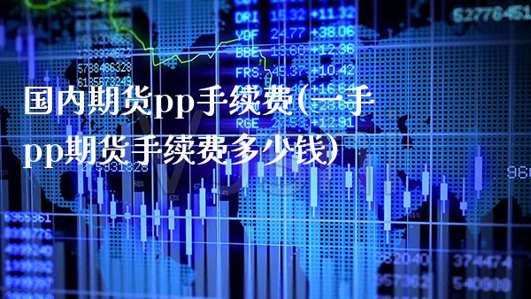 国内期货pp手续费(一手pp期货手续费多少钱)_https://www.gzbbqc.com_恒指期货_第1张