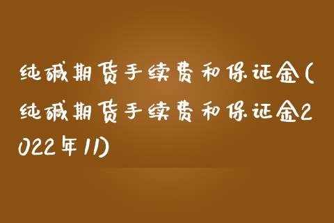 纯碱期货手续费和保证金(纯碱期货手续费和保证金2022年11)_https://www.gzbbqc.com_恒指期货_第1张