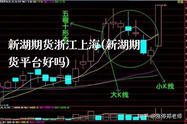新湖期货浙江上海(新湖期货平台好吗)_https://www.gzbbqc.com_黄金期货_第1张